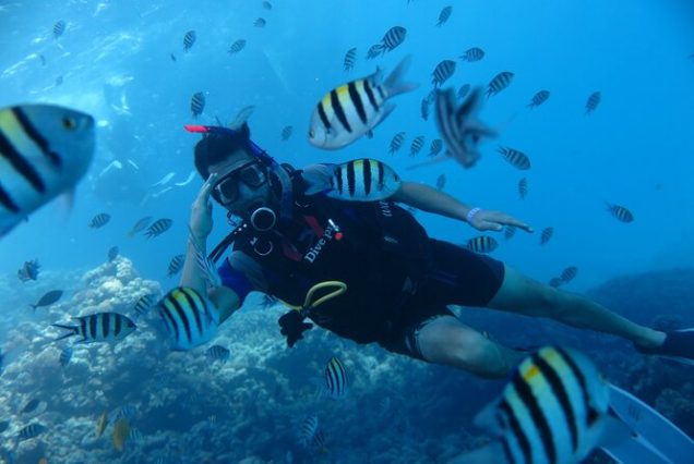 Intro Diving Experience